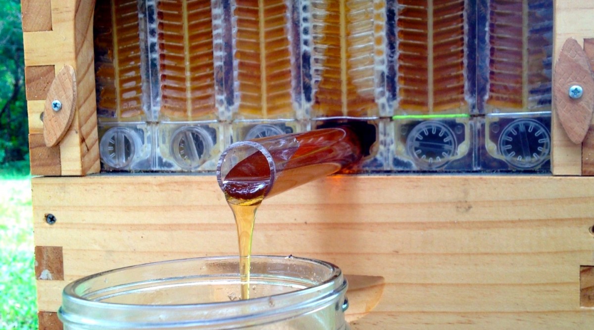 Cum curge mierea în borcan din Flow Hive